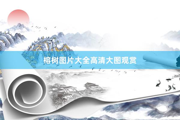 榕树图片大全高清大图观赏