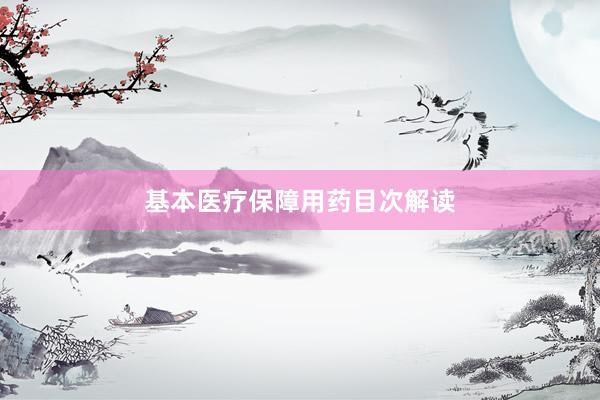 基本医疗保障用药目次解读