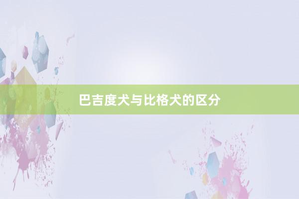 巴吉度犬与比格犬的区分