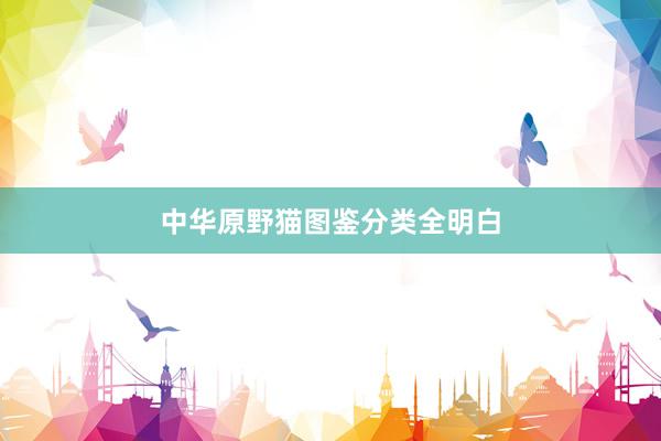 中华原野猫图鉴分类全明白