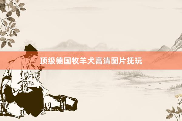 顶级德国牧羊犬高清图片抚玩